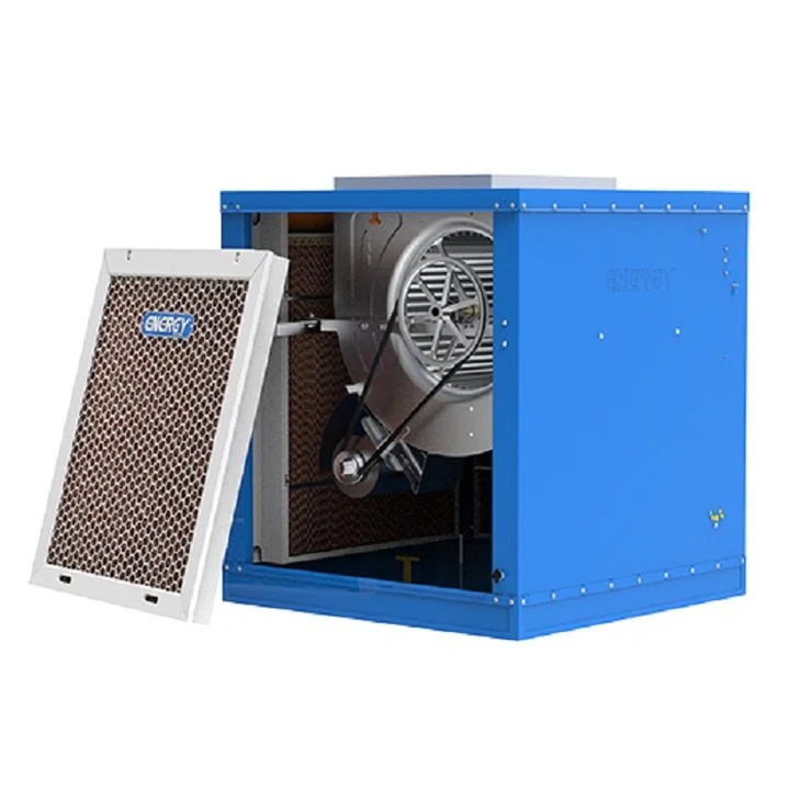 VC 0600