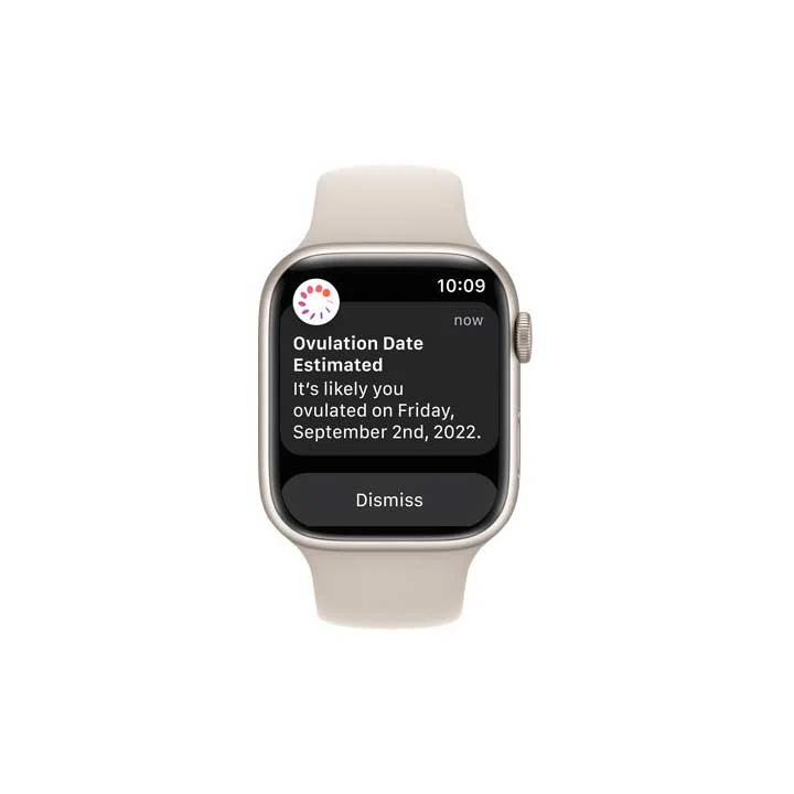 ساعت هوشمند اپل سری 8 سایز 45 میل ا Apple Watch Series 8