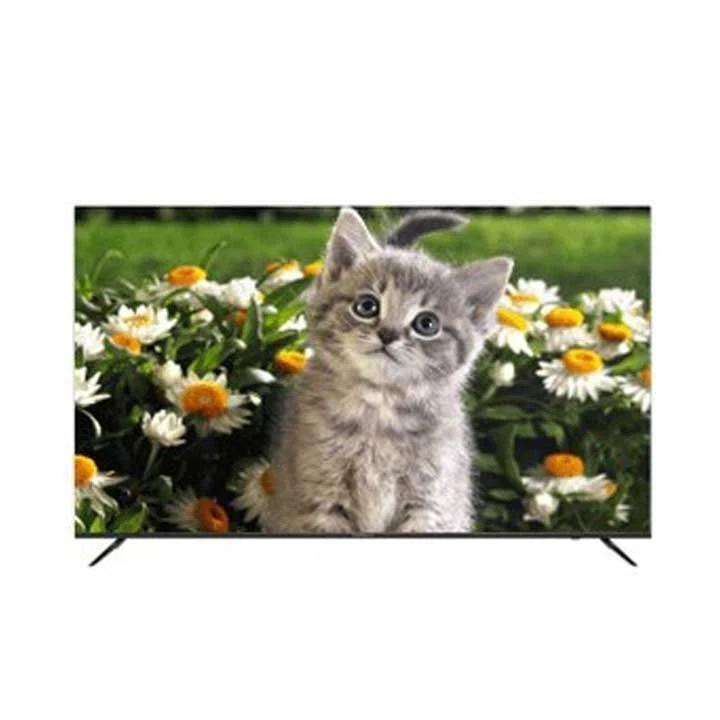 تلویزیون ال ای دی 65 اینچ هوشمند دوو مدل DSL-65SU1800