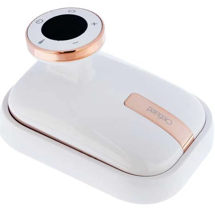 ماساژور بدن پانگائو مدل Pangao Body Massager BRM-8201