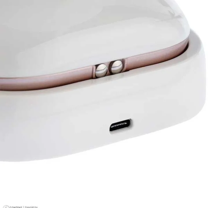 ماساژور بدن پانگائو مدل Pangao Body Massager BRM-8201