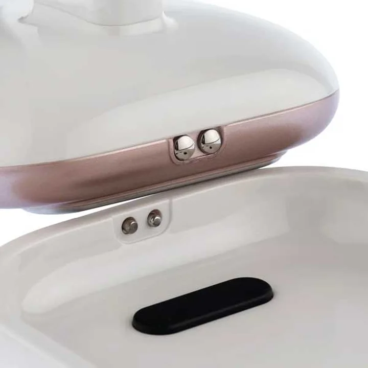 ماساژور بدن پانگائو مدل Pangao Body Massager BRM-8201