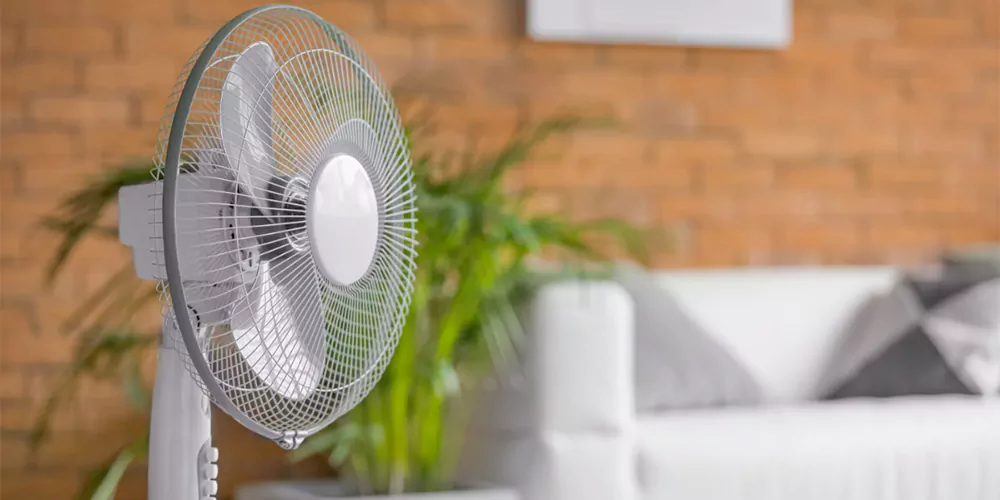 راهنمای خرید پنکه تولیپس